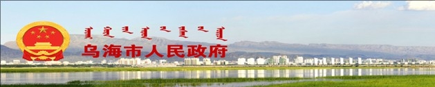 乌海市人民政府网