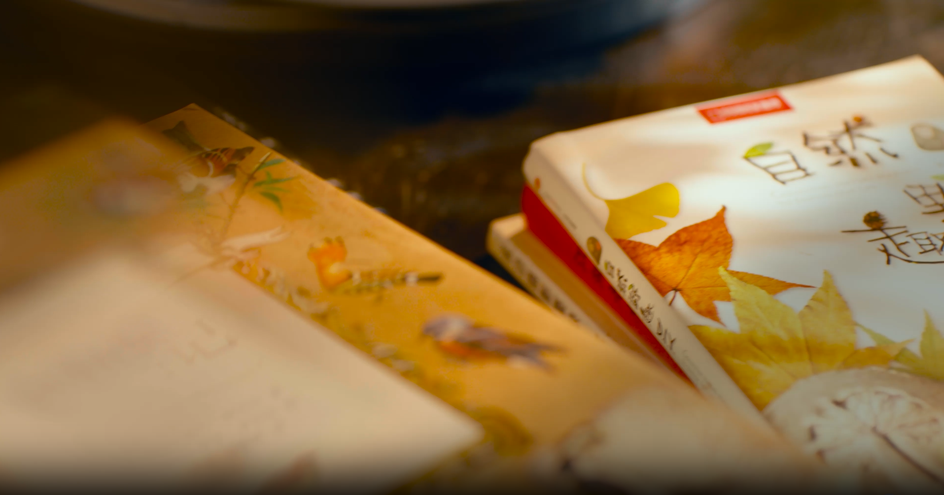 视界革新 生活焕新