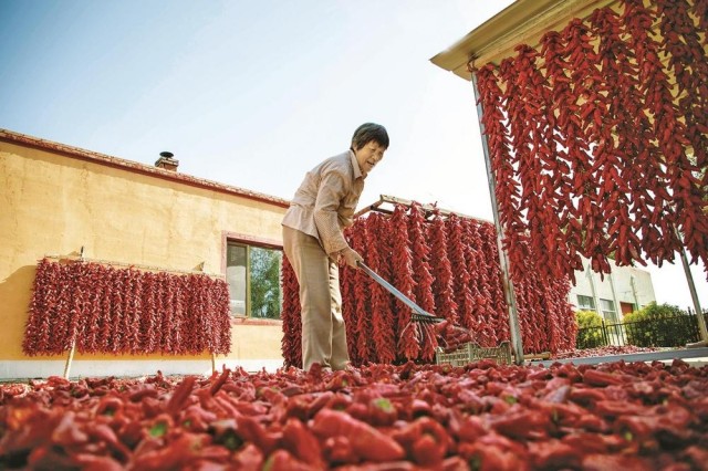 1326194284130302.jpg 7-10.jpg