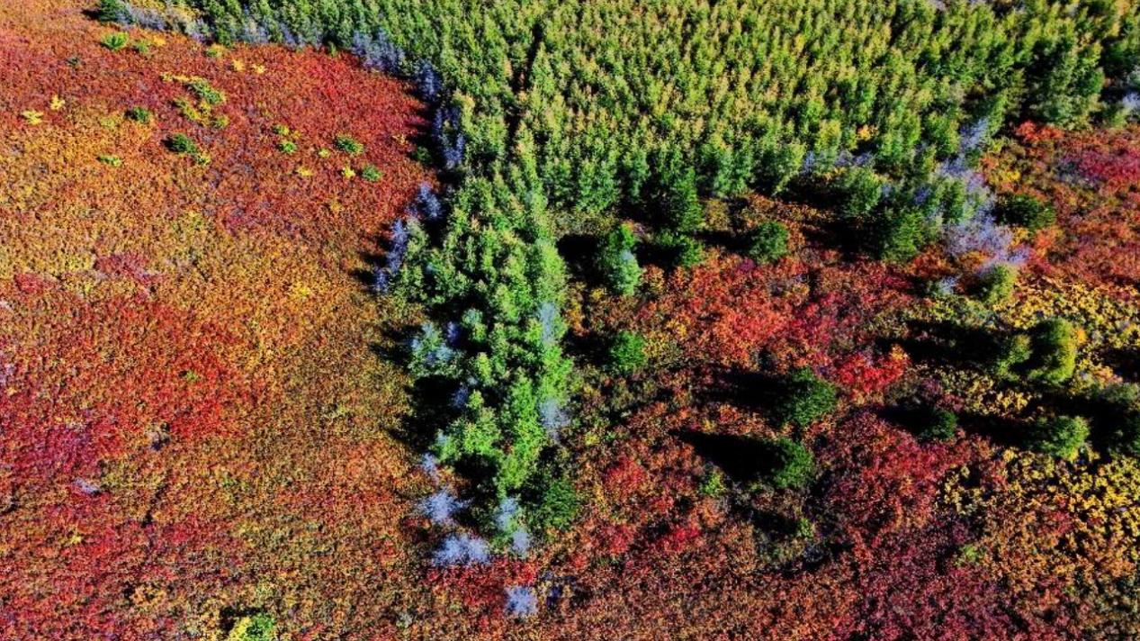 北疆大地书写“两山”答卷