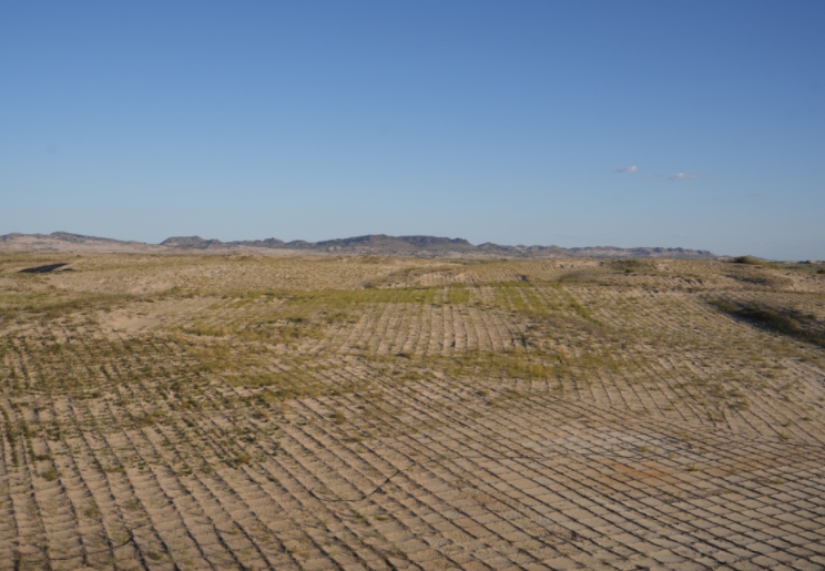 和谐共生|防沙治沙 绿富同兴 和谐共生|防沙治沙 绿富同兴