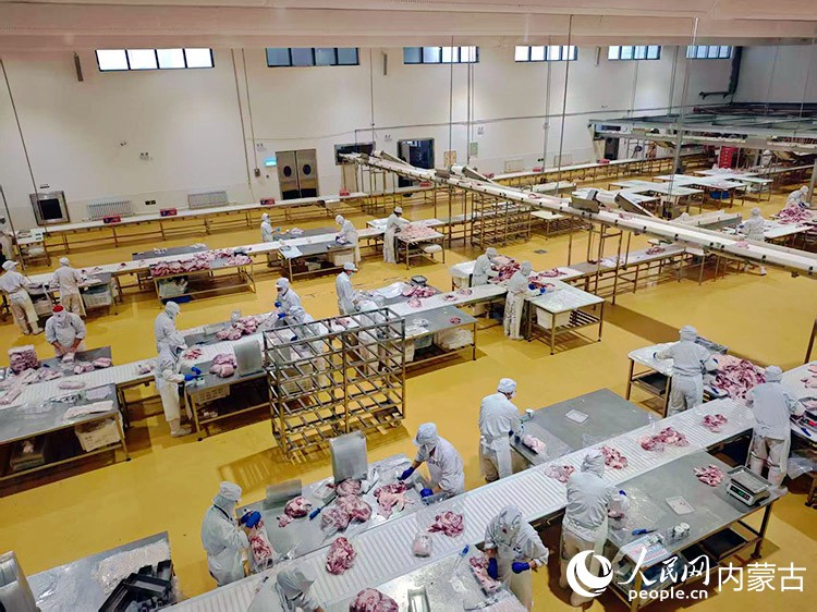 锡林郭勒肉羊生产加工车间内。人民网记者 刘艺琳摄