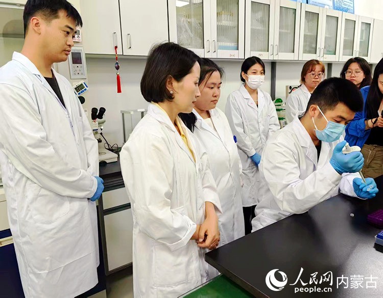 在内蒙古，有多家科研团队致力于“育种芯片”的研究。这是内蒙古民族大学团队正在测试“相牛1号10K液相育种芯片”。人民网记者 富丽娟摄