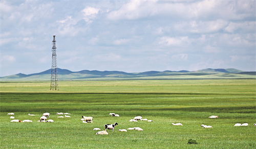 共建、共享、共生——区域协作的“京蒙”密码