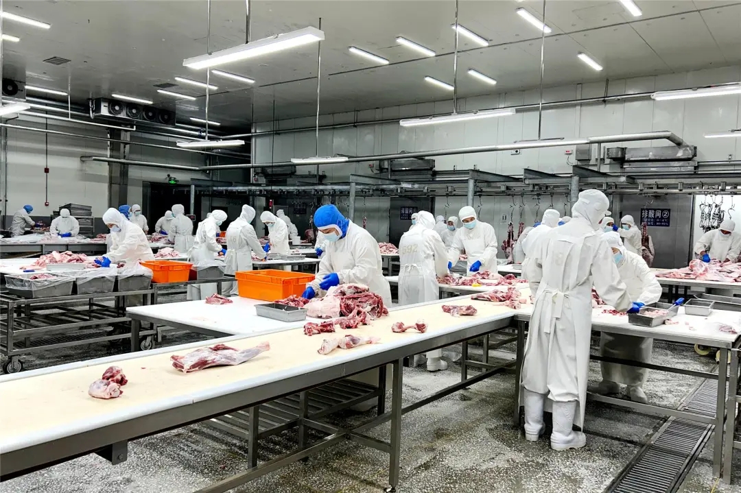 呼伦贝尔“鲜”行一步!草原冰鲜牛肉48小时直达香港餐桌