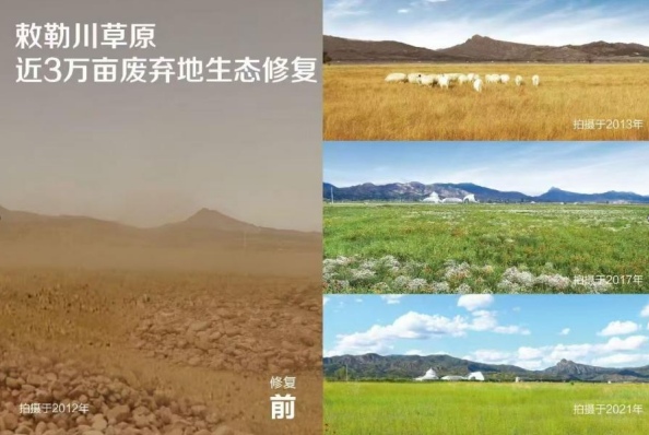 【数说绿色 智引发展】一株草背后的种业创新 【数说绿色 智引发展】一株草背后的种业创新