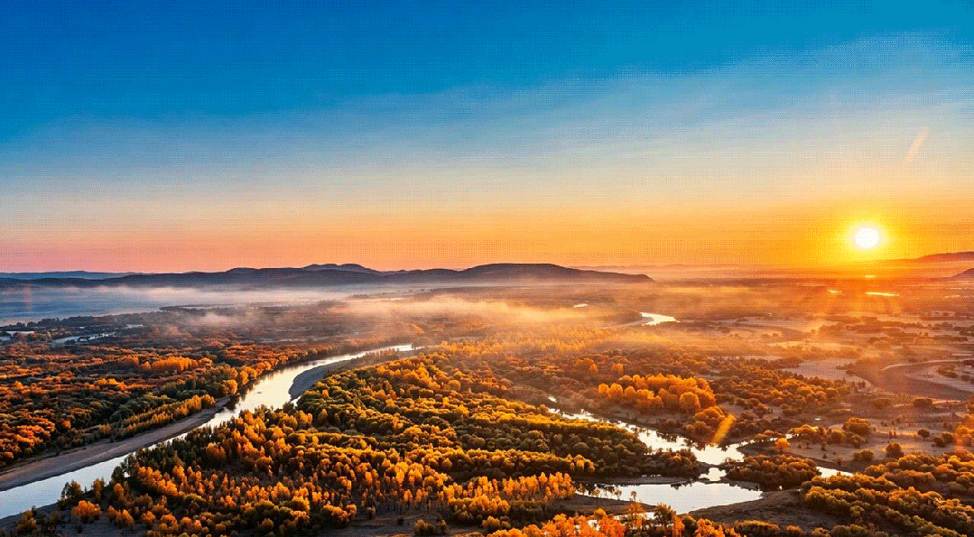 微信图片_2026-10-13_100452_750.gif