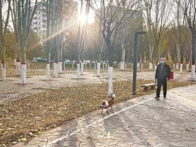 0942226079413996.jpg