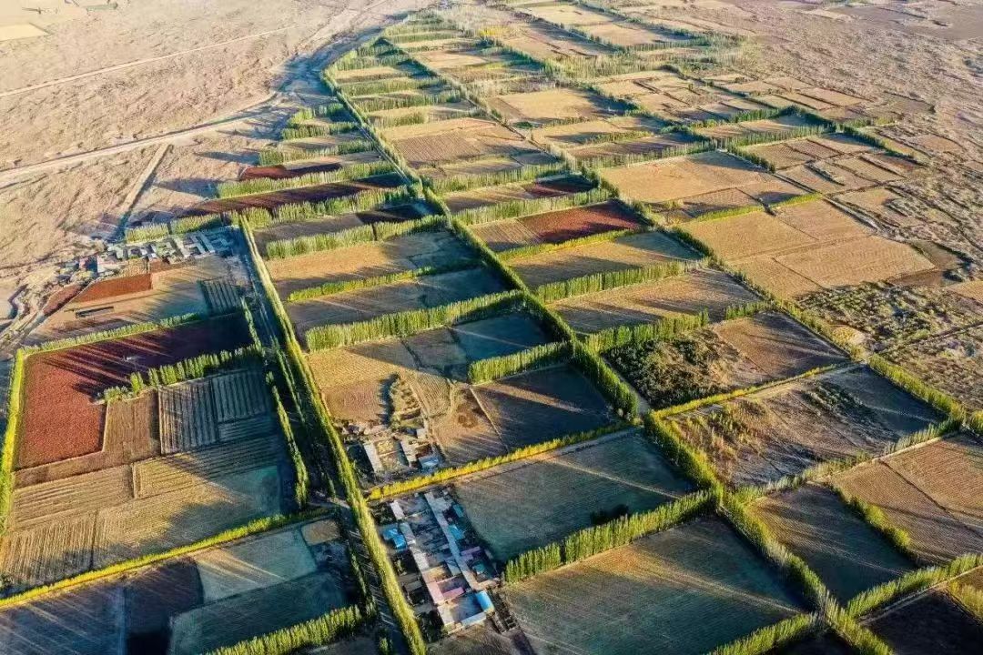 无效路径